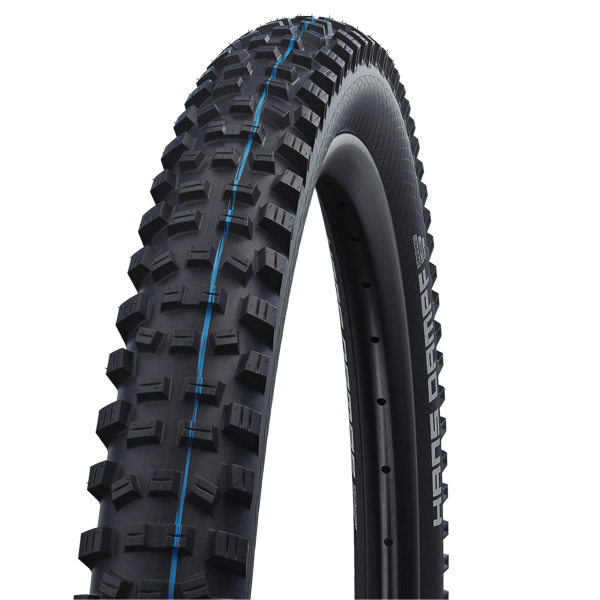 SCHWALBE 29
