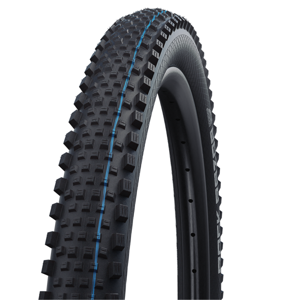 SCHWALBE 29
