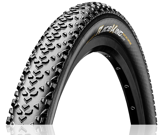 Race king online protection 27.5
