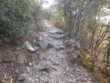 mixed MTB